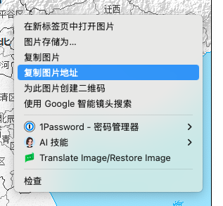 在大图模式下右键复制图片地址